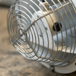 122959144_2796395910689036_3253426588879351577_n