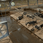 HV-Belt-Drive-Fan-App-6-e1716545894643